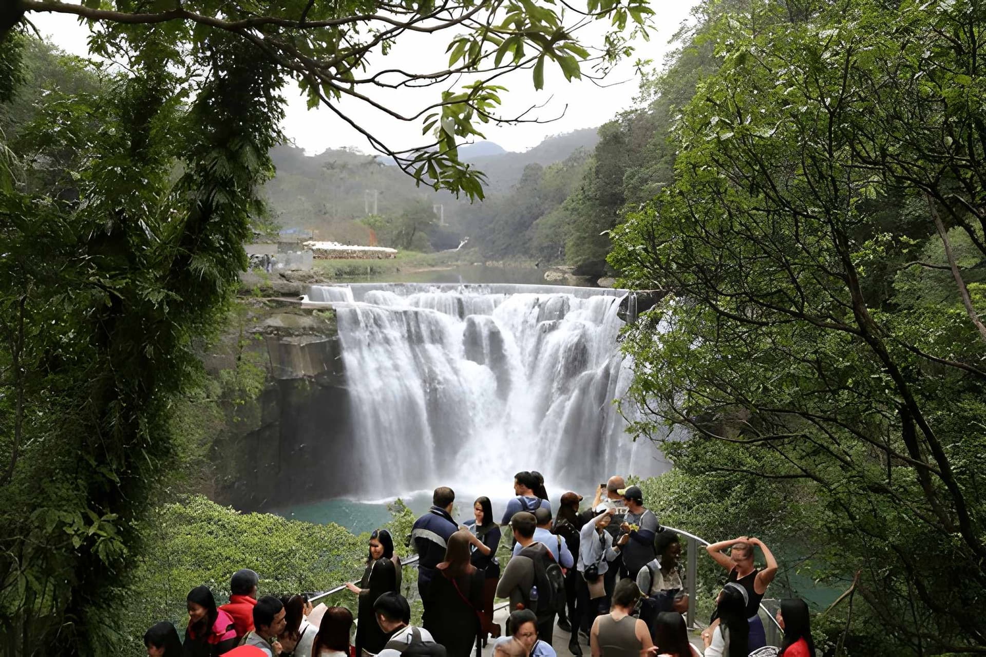 Why Coorg Is an Attractive Tourist Destination: Nature, Culture & Luxury Retreats