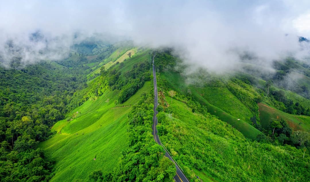 Best Time to Visit in Coorg Weather Guide
