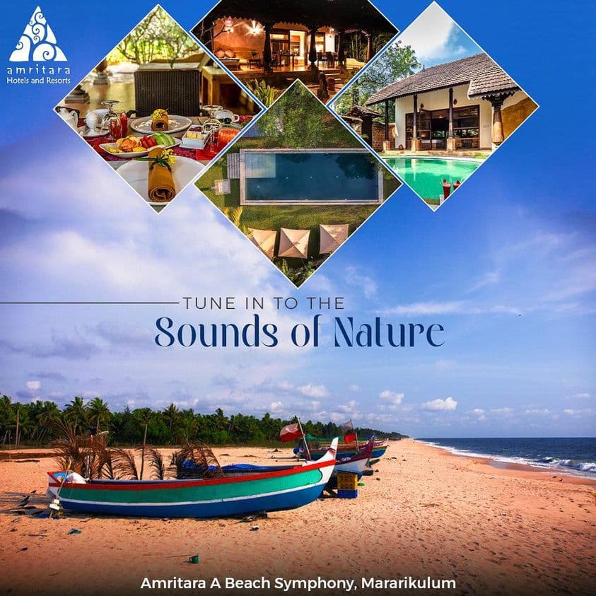 travel  wonders: exploring the best places to visit in india in january