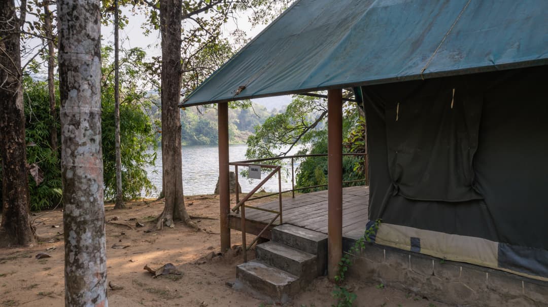 resorts near kochi: travel, activities & stay